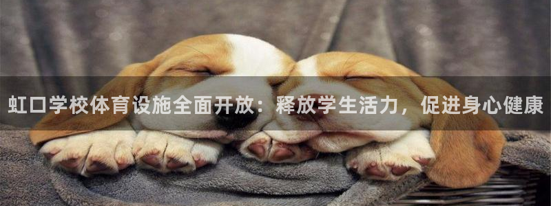 意昂3官方：虹口学校体育设施全面开放：释放学生活力，