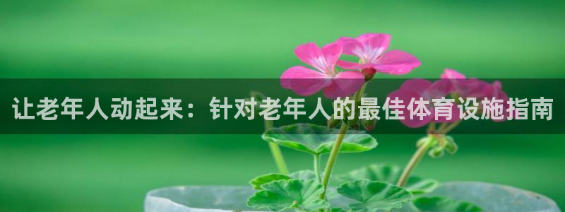 意昂体育3联系电话：让老年人动起来：针对老年人的最佳