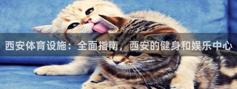意昂体育3平台是正规平台吗：西安体育设施：全面指南，