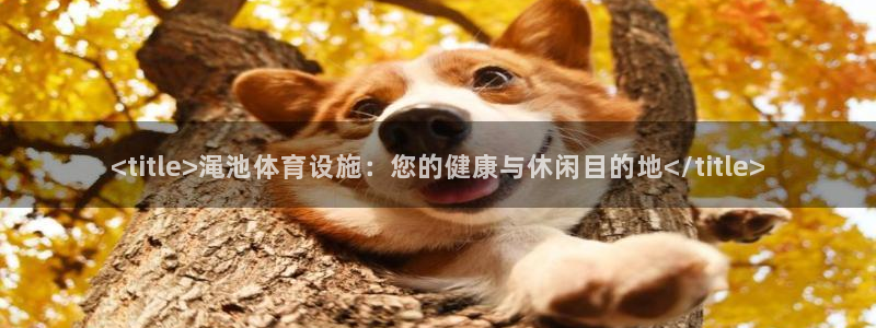 意昂体育3招商电话号码是多少啊：<title>渑池体