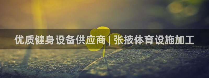 意昂3娱乐网站：优质健身设备供应商 | 张掖体育设施