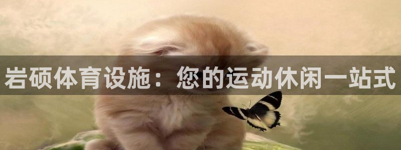 意昂体育3平台假的吗是真的吗吗：岩硕体育设施：您的运