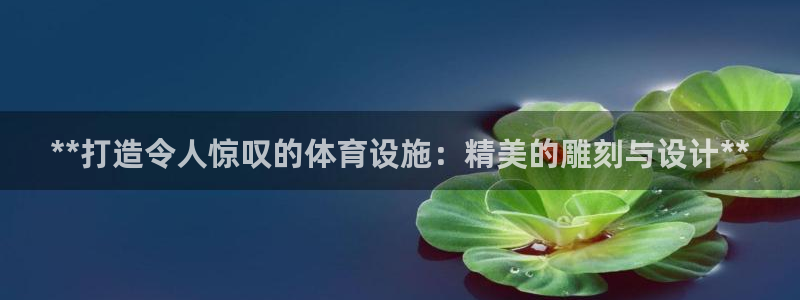 意昂3娱乐代理怎么样：**打造令人惊叹的体育设施：精
