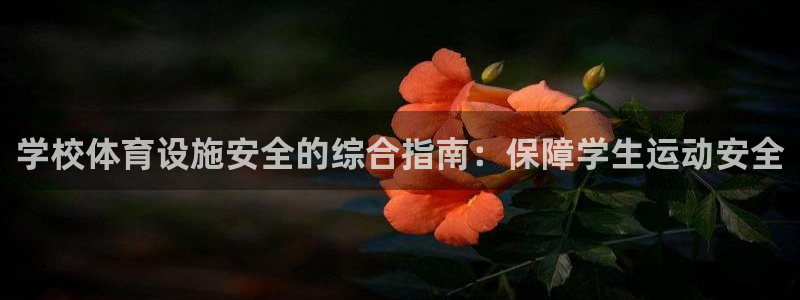 意昂3集团logo：学校体育设施安全的综合指南：保障