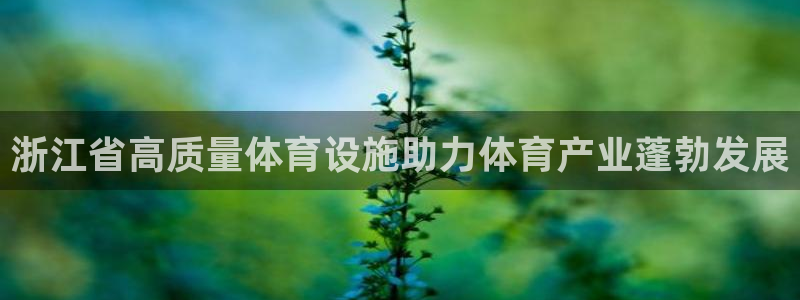 意昂集团官网：浙江省高质量体育设施助力体育产业蓬勃发