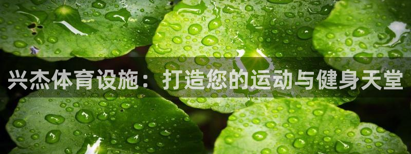 意昂体育3招商电话地址查询：兴杰体育设施：打造您的运