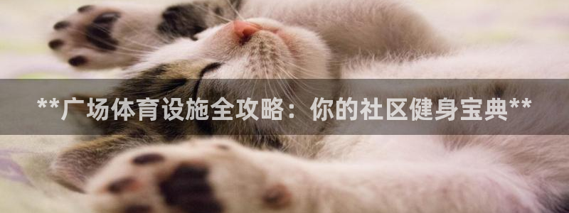 意昂体育3招商电话号码是多少：**广场体育设施全攻略