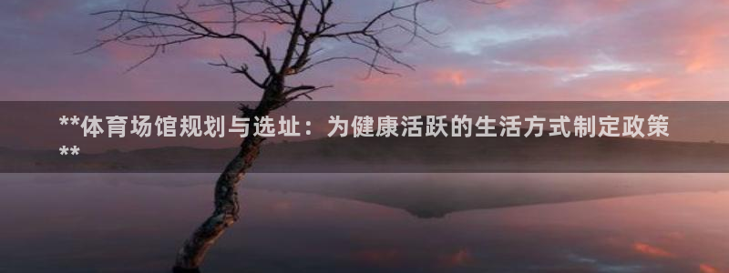 意昂3五金厂：**体育场馆规划与选址：为健康活跃的生