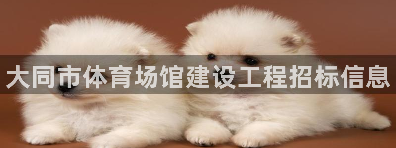 意昂3集团官网首页：大同市体育场馆建设工程招标信息