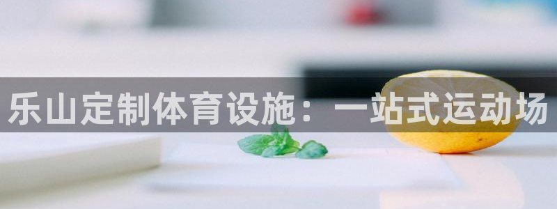 意昂体育3平台APP：乐山定制体育设施：一站式运动场