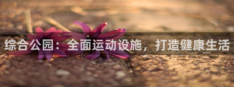 意昂体育3娱乐：综合公园：全面运动设施，打造健康生活