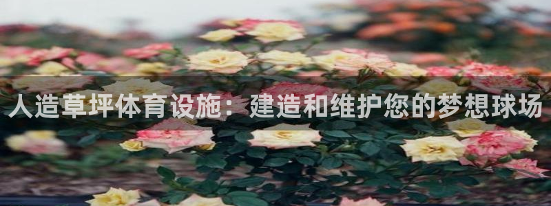 意昂3娱乐下载：人造草坪体育设施：建造和维护您的梦想