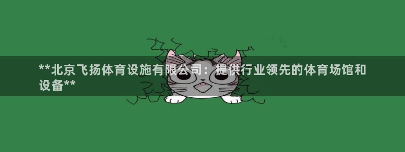 意昂3集团：**北京飞扬体育设施有限公司：提供行业领