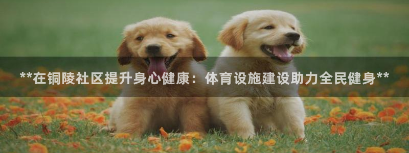 意昂3集团：**在铜陵社区提升身心健康：体育设施建设