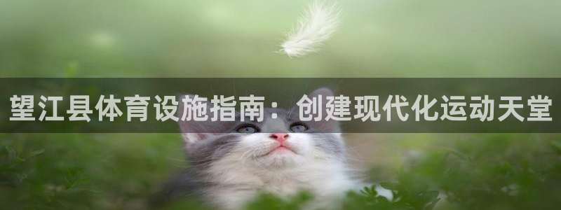 意昂体育3招商电话地址查询：望江县体育设施指南：创建