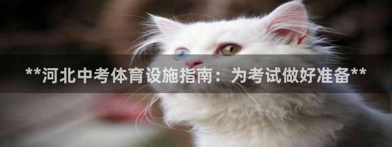意昂3娱乐首页网站大全：**河北中考体育设施指南：为