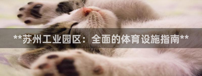 意昂体育3招商电话是多少：**苏州工业园区：全面的体