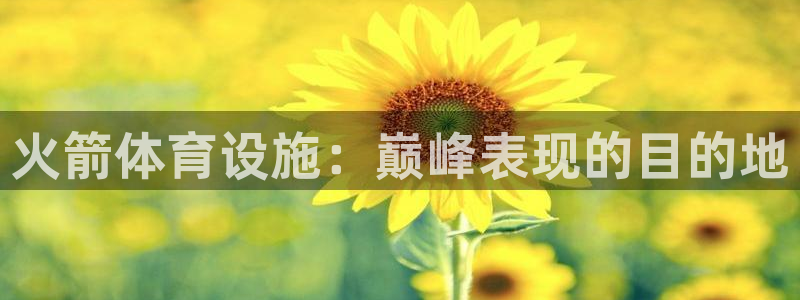 意昂3集团logo：火箭体育设施：巅峰表现的目的地