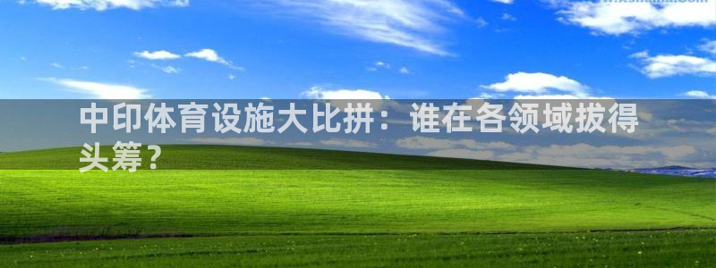 意昂体育3娱乐：中印体育设施大比拼：谁在各领域拔得
