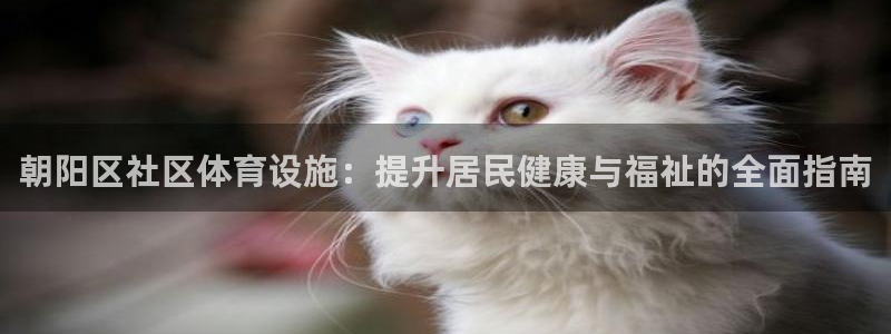 意昂3娱乐代理怎么样：朝阳区社区体育设施：提升居民健