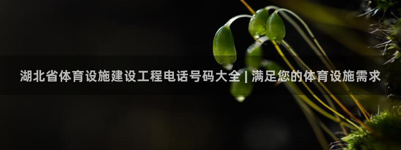 意昂体育3招商电话是多少啊：湖北省体育设施建设工程电