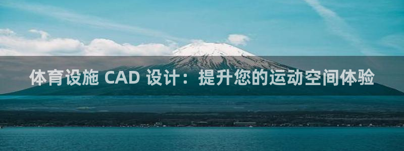 意昂3娱乐下载：体育设施 CAD 设计：提升您的运动