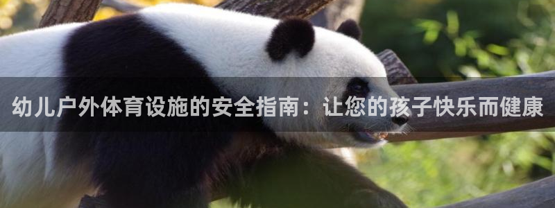 意昂3科技：幼儿户外体育设施的安全指南：让您的孩子快
