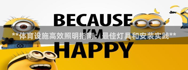 意昂3集团logo：**体育设施高效照明指南：最佳灯