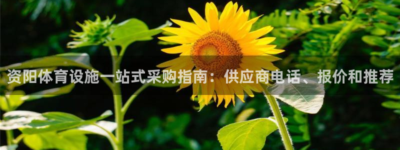 意昂体育3平台是正规平台吗知乎：资阳体育设施一站式采