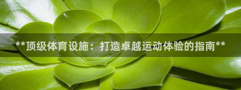 意昂3娱乐下载：**顶级体育设施：打造卓越运动体验的