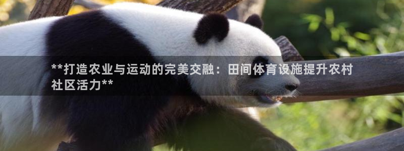 意昂体育3招商电话号码：**打造农业与运动的完美交融