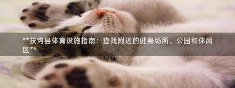 意昂体育3招商：**扶沟县体育设施指南：查找附近的健