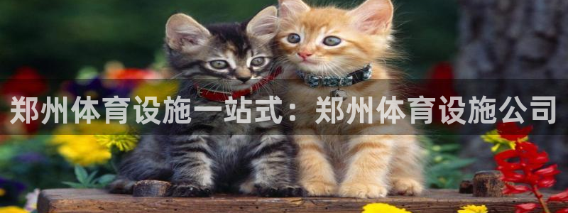意昂3娱乐是那个系列的台子：郑州体育设施一站式：郑州