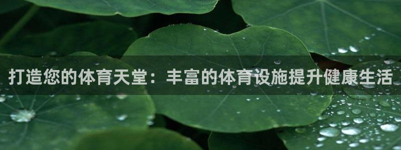 意昂体育3招商电话是多少：打造您的体育天堂：丰富的体