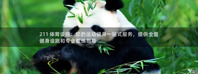 意昂3官网：211 体育设施：您的运动健身一站式服务