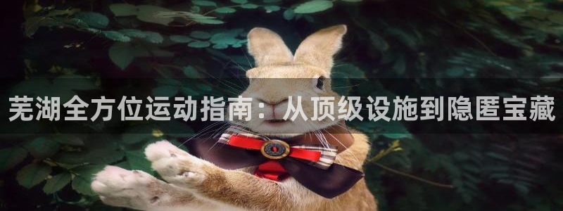 意昂体育3招商电话是多少：芜湖全方位运动指南：从顶级