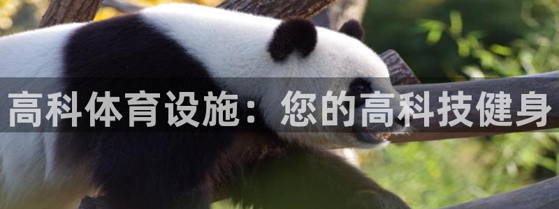 意昂3娱乐平台：高科体育设施：您的高科技健身
