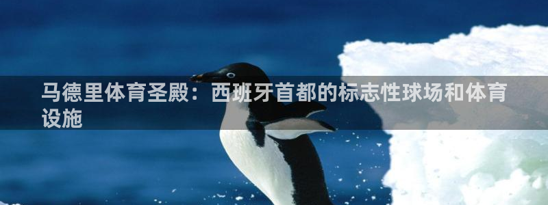 意昂集团官网：马德里体育圣殿：西班牙首都的标志性球场