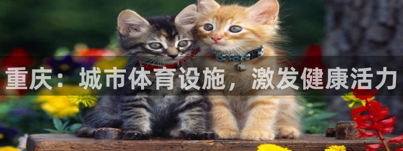 意昂体育3平台APP：重庆：城市体育设施，激发健康活