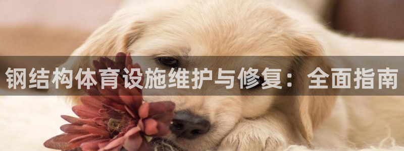 意昂体育3平台假的吗是真的吗：钢结构体育设施维护与修
