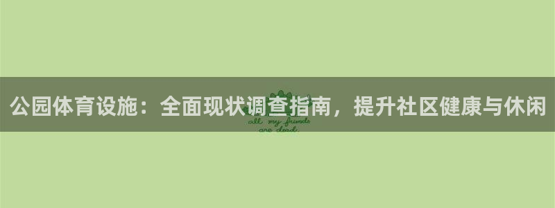 意昂体育3软件：公园体育设施：全面现状调查指南，提升