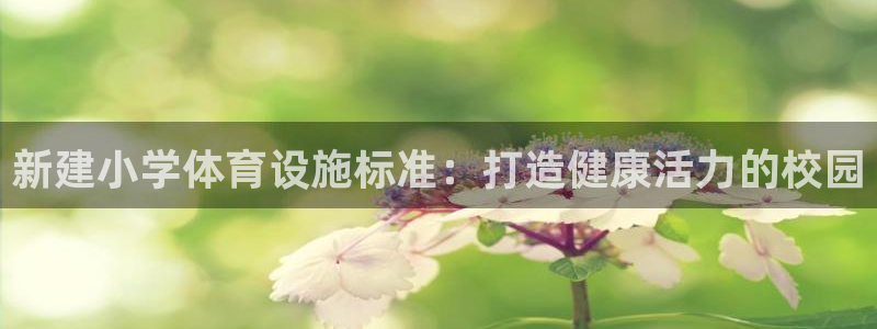 意昂体育3注册：新建小学体育设施标准：打造健康活力的校园