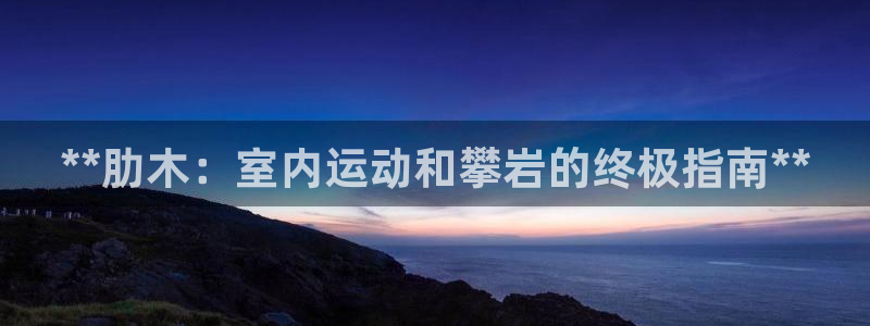 意昂3官方：**肋木：室内运动和攀岩的终极指南**