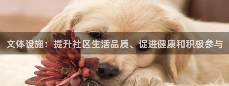 意昂3神州：文体设施：提升社区生活品质、促进健康和积