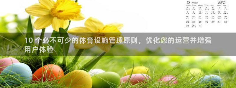 意昂体育3招商电话号码查询是多少：10 个必不可少的