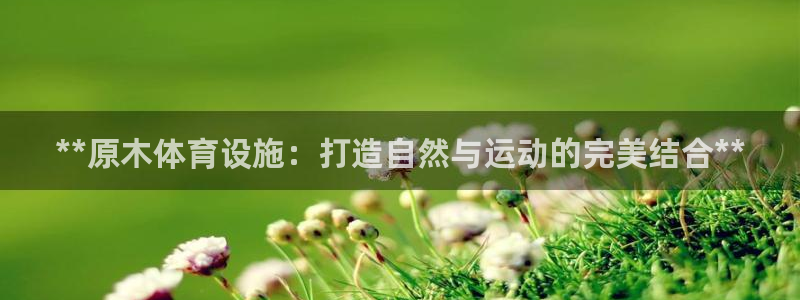 意昂体育3平台是正规平台吗知乎：**原木体育设施：打