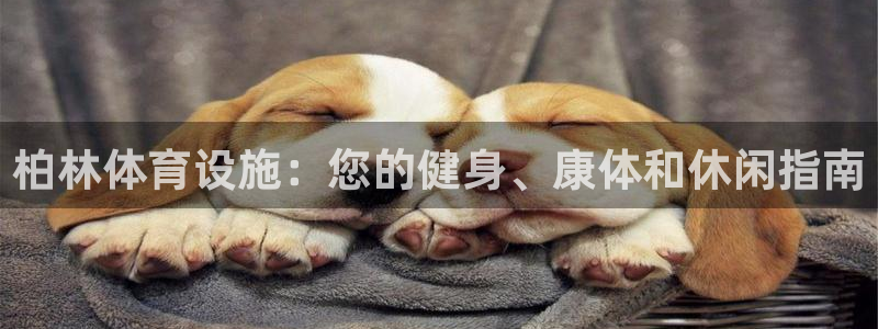 意昂体育3招商电话号码是多少号：柏林体育设施：您的健