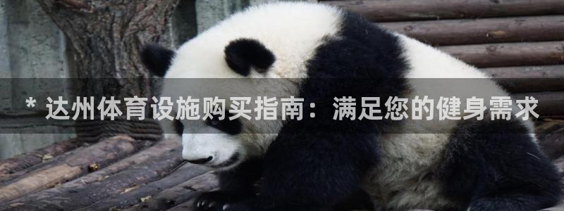 意昂体育3招商电话地址：* 达州体育设施购买指南：满