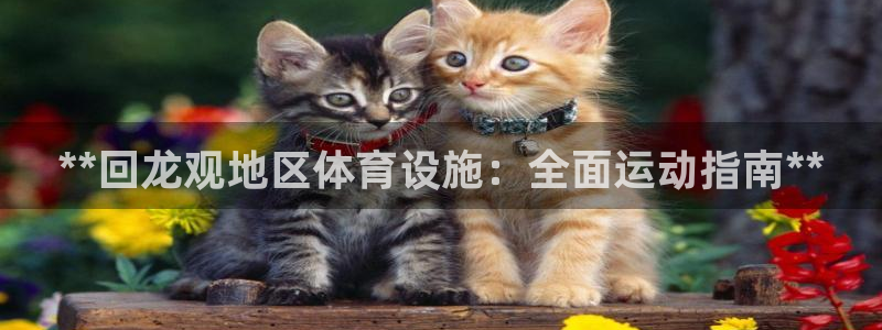 意昂体育3招商电话是多少号码：**回龙观地区体育设施
