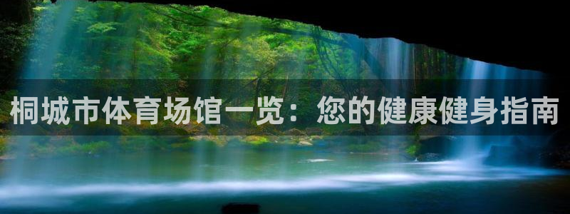 意昂体育3软件：桐城市体育场馆一览：您的健康健身指南